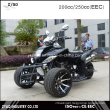 EEC Gasoline Racing Trike with 12inch Tyre 200cc 3 Wheel Motorcycle